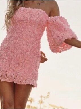 Klesis Off Shoulder Mini Dress Pink Floral Rosette Puff Sleeve Cocktail SzL $140